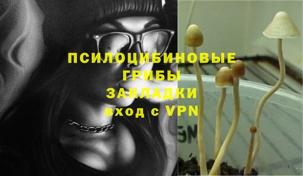 кокаин премиум Белокуриха