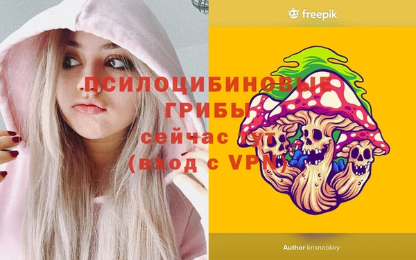 прущие крисы Белоозёрский