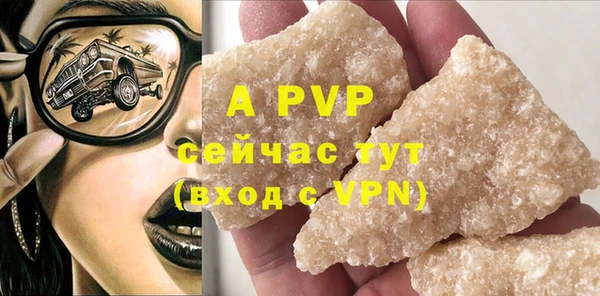 гидра Покачи