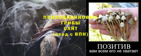прущие крисы Белоозёрский
