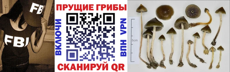 Галлюциногенные грибы GOLDEN TEACHER Дальнегорск